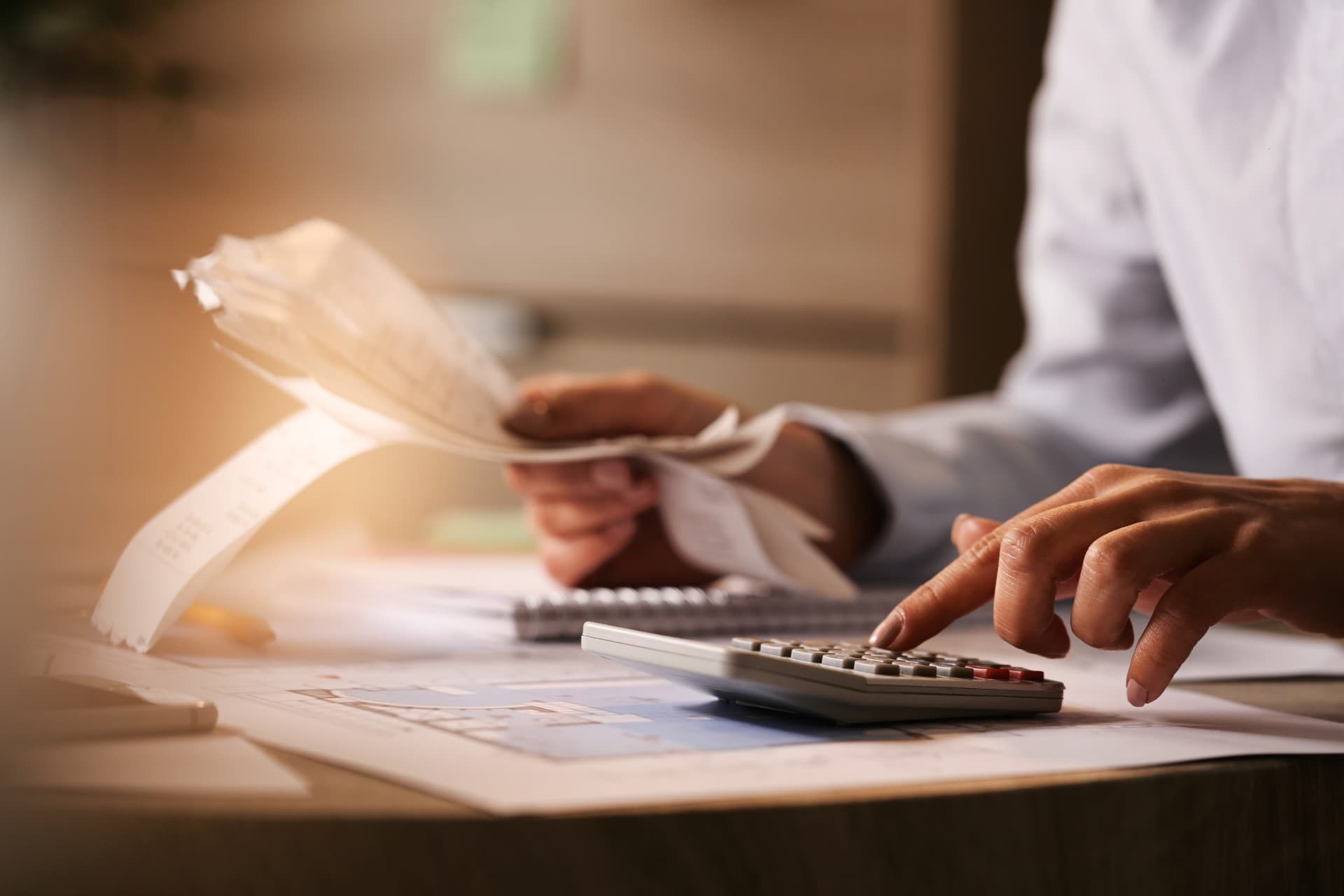 Independent Tax Review services at Virti Shah CPA
